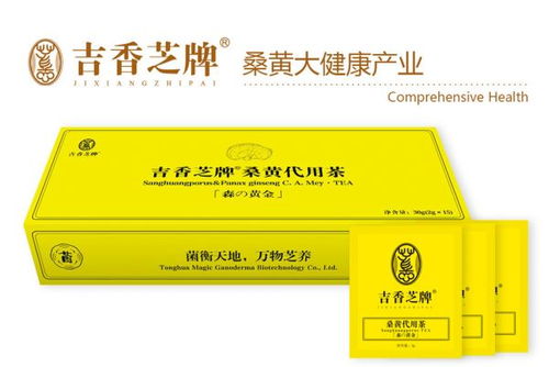 桑黃茶全國區域代理商招募 誠邀合作伙伴，共享健康茶飲藍海市場